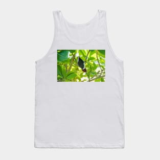 Red-crested cardinal of  Big Island Hawaii Tank Top